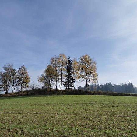 Kindererlebnis- Und Biobauernhof Hipp-Bruckner Wornharts ภายนอก รูปภาพ