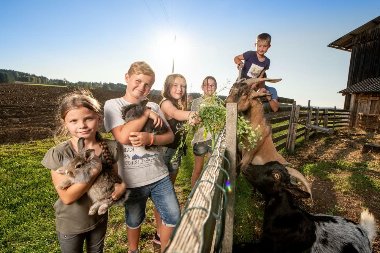 Kindererlebnis- Und Biobauernhof Hipp-Bruckner Wornharts ภายนอก รูปภาพ